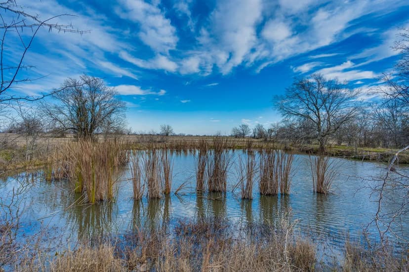 Property from Lot 3 County Road 4761 - KW