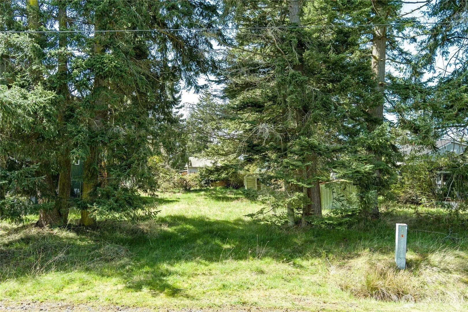 Vacant Land in Greenbank - Greenbank, Washington, 98253