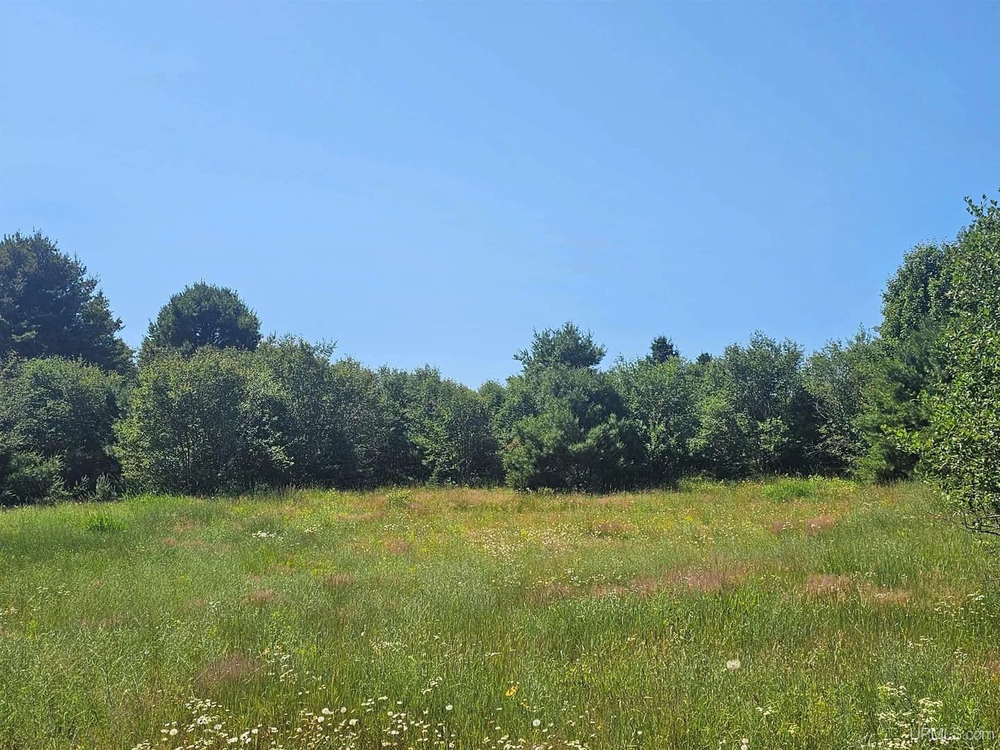 Vacant Land in Houghton - Houghton, Michigan, 49931