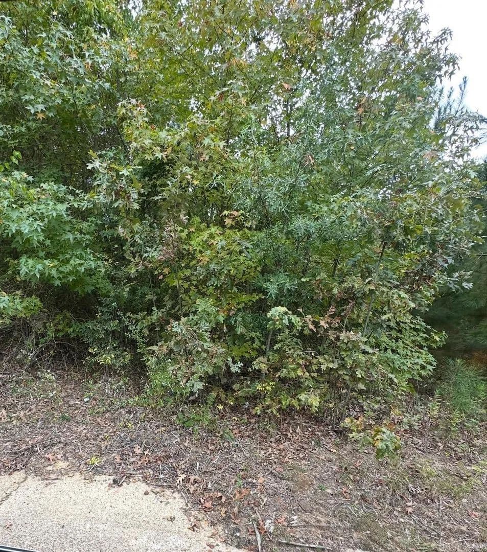 Lots & Land-Other in Camden - Camden, Arkansas, 71701
