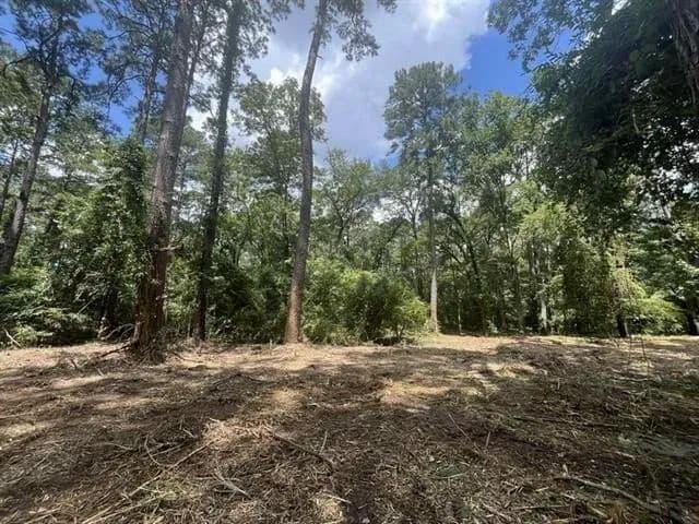 Lots & Land-Other in Pineville - Pineville, Louisiana, 71360