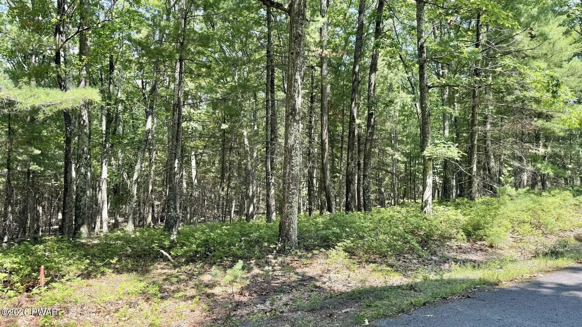 Lots & Land-Other in Tafton - Tafton, Pennsylvania, 18464