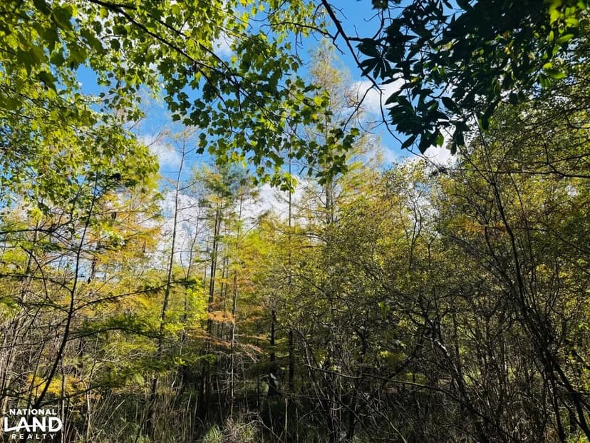 River Cabin with 30+/- Acres