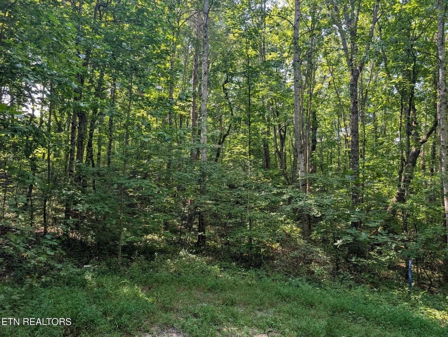 Lots & Land-Other in Crossville - Crossville, Tennessee, 38572