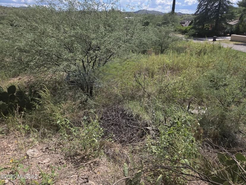 Lots & Land-Other in Nogales