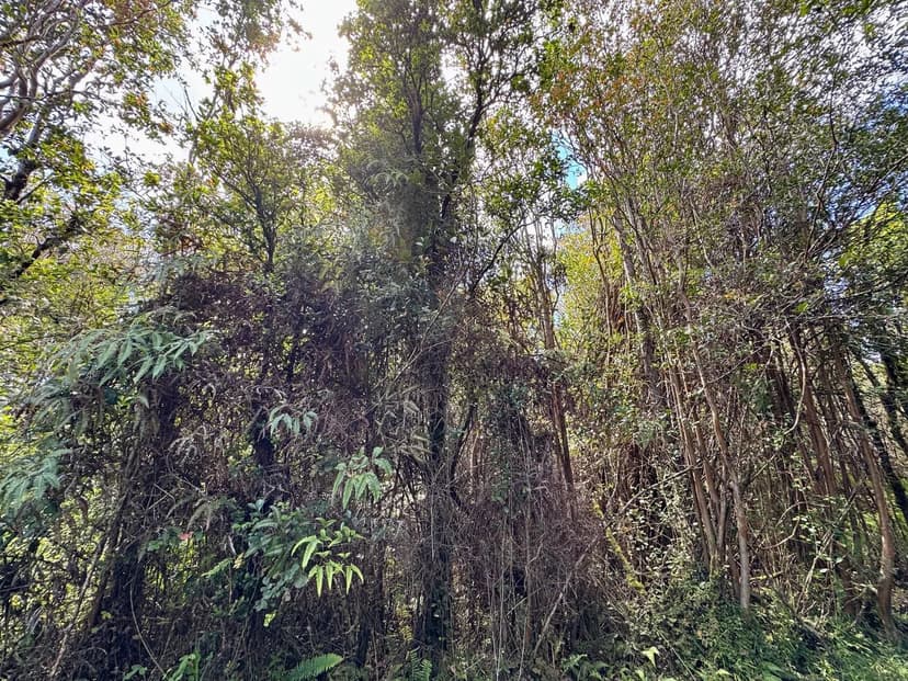 Property from 703 ROAD 11 - KW