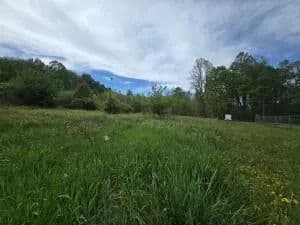 Lots & Land-Other in Charmco - CharmcO, West Virginia, 25958