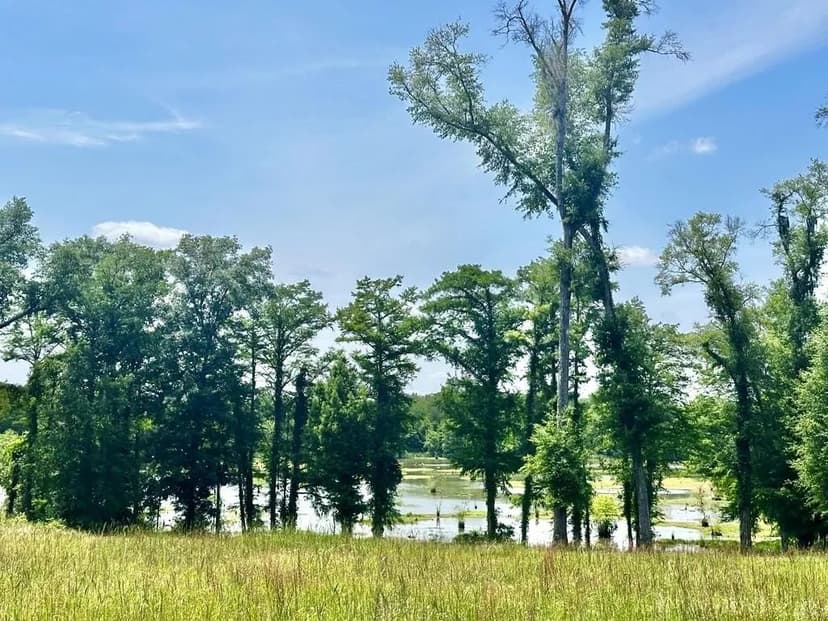 Lots & Land-Other in Brinson