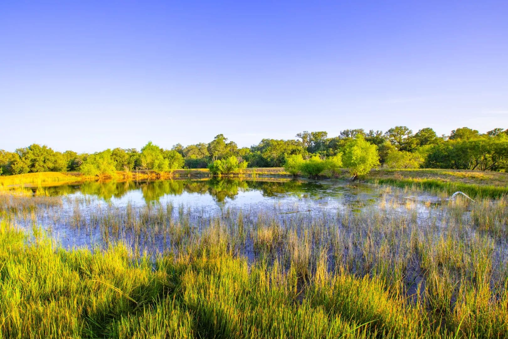 Lucky Creek Ranch - Gillett, Texas, 78116