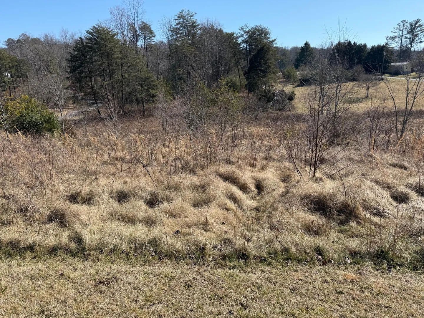 Land -Agricultural (Not Zoned) in Crossville - Crossville, Tennessee, 38572