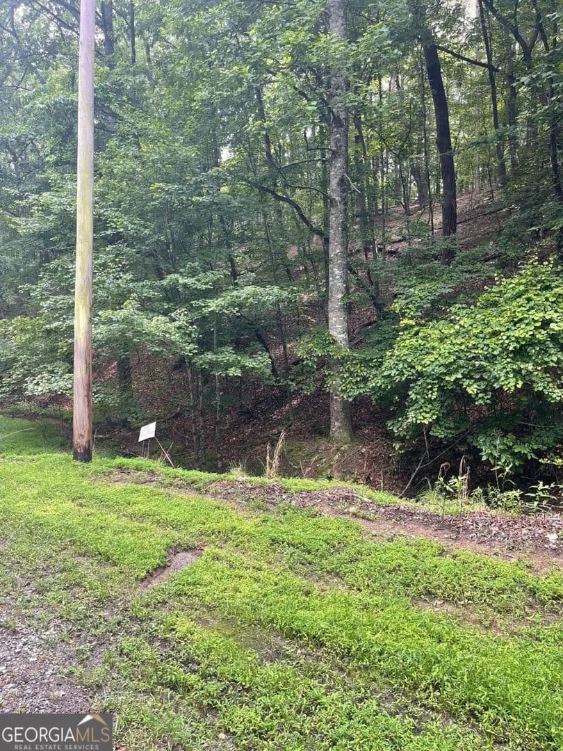 Vacant Land in Waleska - Waleska, Georgia, 30183