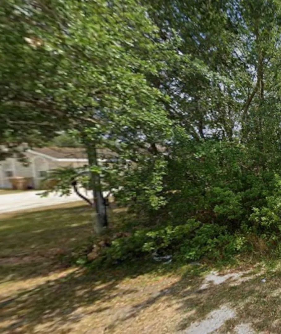 Vacant Land in Kissimmee - Kissimmee, Florida, 34758