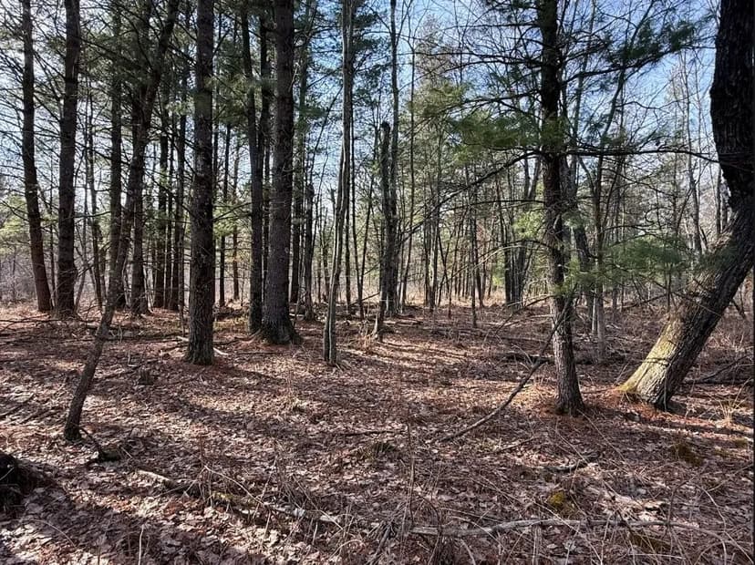 40-Acre Recreational Hunting Tract in Central Monroe County