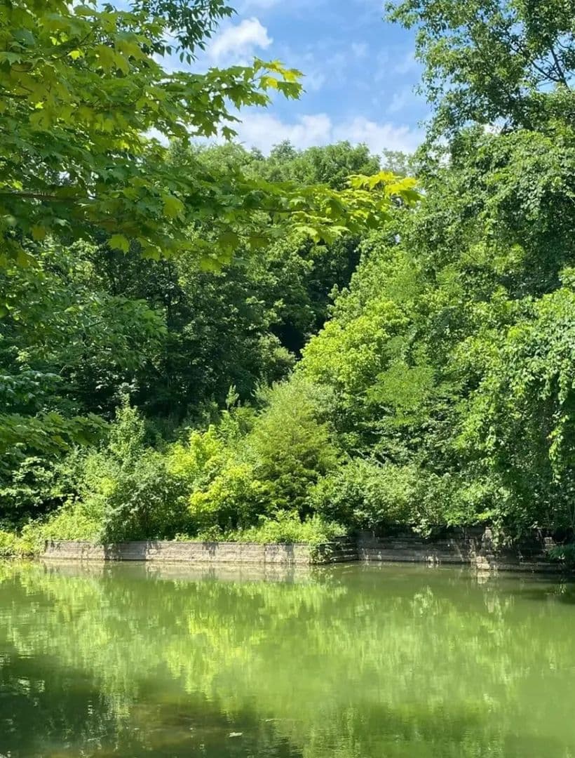 Vacant Land in Lawrenceburg - Lawrenceburg, Indiana, 47025