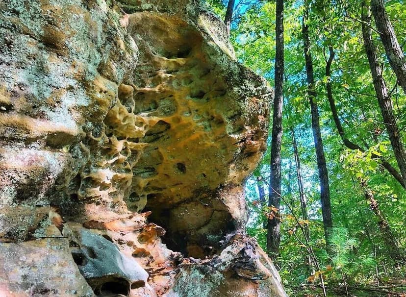 Property from 1030 Nada Tunnel Road - KW