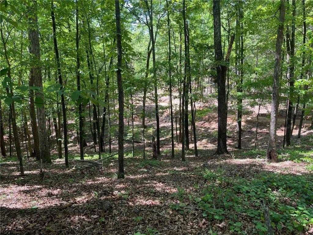 7.45 Acres of Land for Sale in Cave Spring, GA - Cave Spring, Georgia, 30124