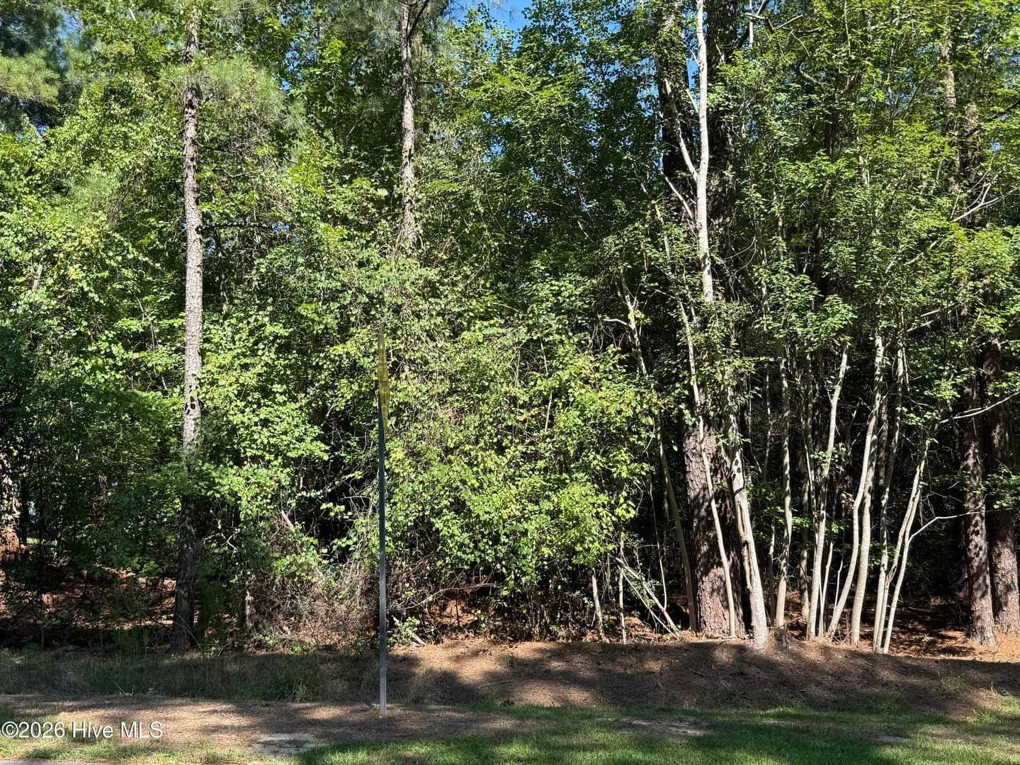 Vacant Land in West End - West End, North Carolina, 27376