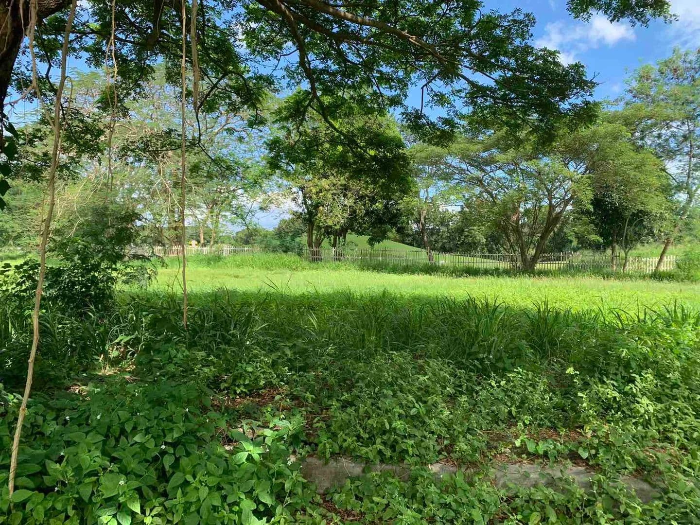 The Orchard Residential Estate's Fairway Lot - Philippines