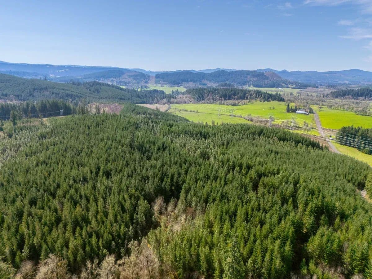 Bellinger Road South - Lebanon, Oregon, 97355