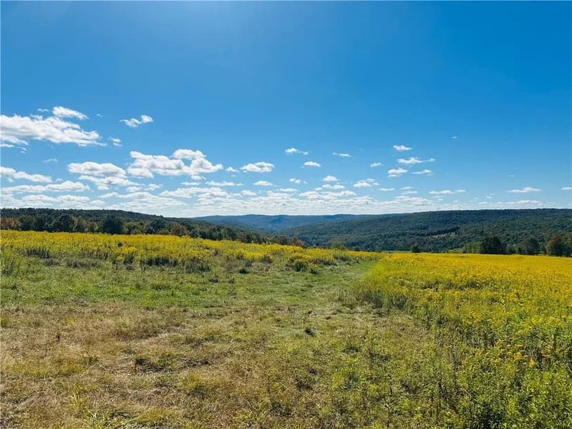 Land -Single Family Acreage in Sidney Center