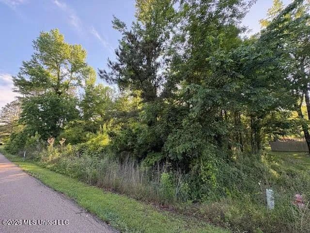 Property from 106 Holly Bush Place - KW - Brandon, Mississippi, 39047