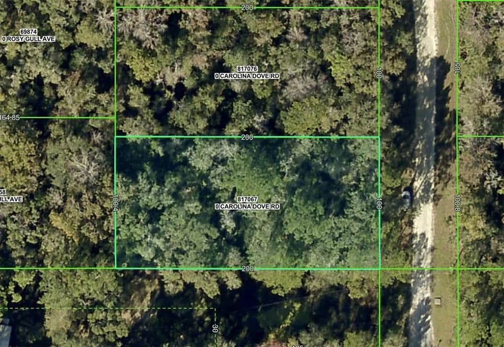 Vacant Land in Weeki Wachee - Weeki Wachee, Florida, 34614