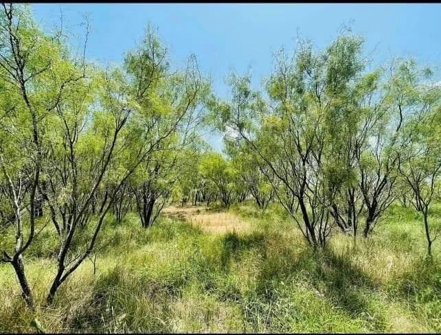Vacant Land in Woodson - Woodson, Texas, 76491
