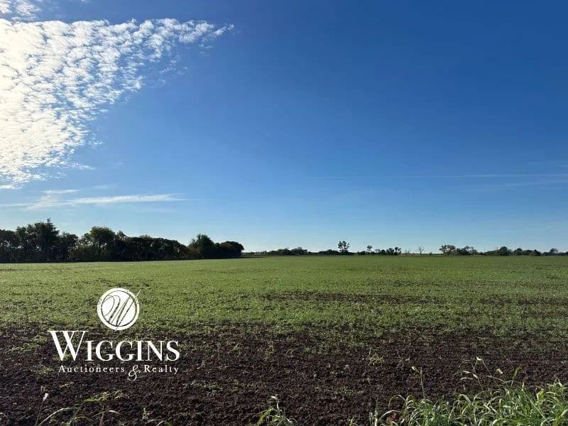 1 to 15± Acre Tracts | Pond Creek Area, Grant County, Oklahoma