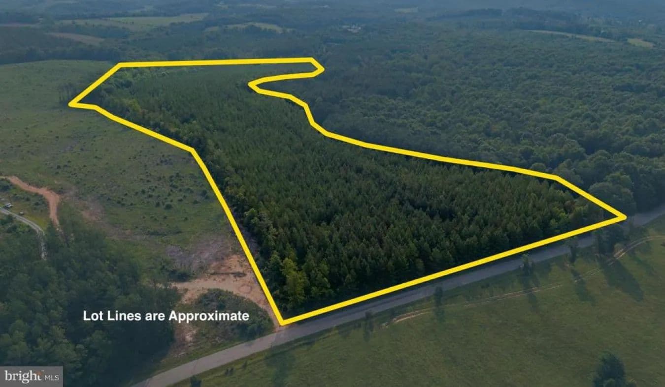 25 Acre Lot (Homestead/Rural Home/Subdivide) - Gladys, Virginia, 24554