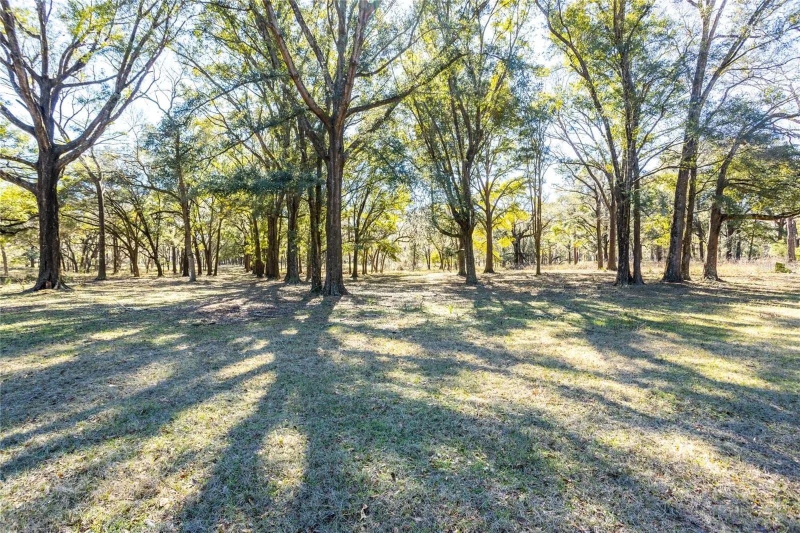 Lots & Land-Other in HIGH SPRINGS - High Springs, Florida, 32643