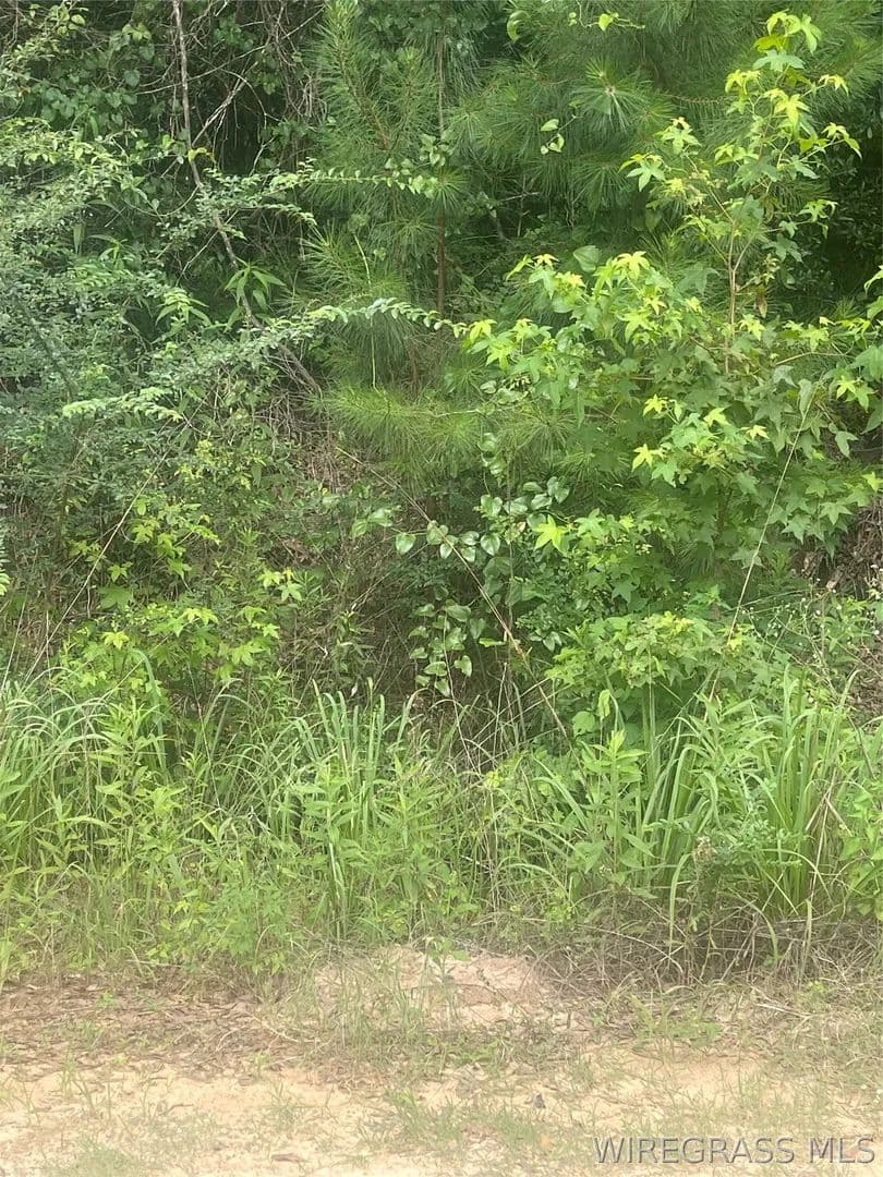 Vacant Land in Daleville - Daleville, Alabama, 36322