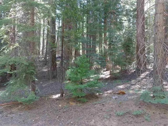 Vacant Land in Canyon Dam - California, 95923