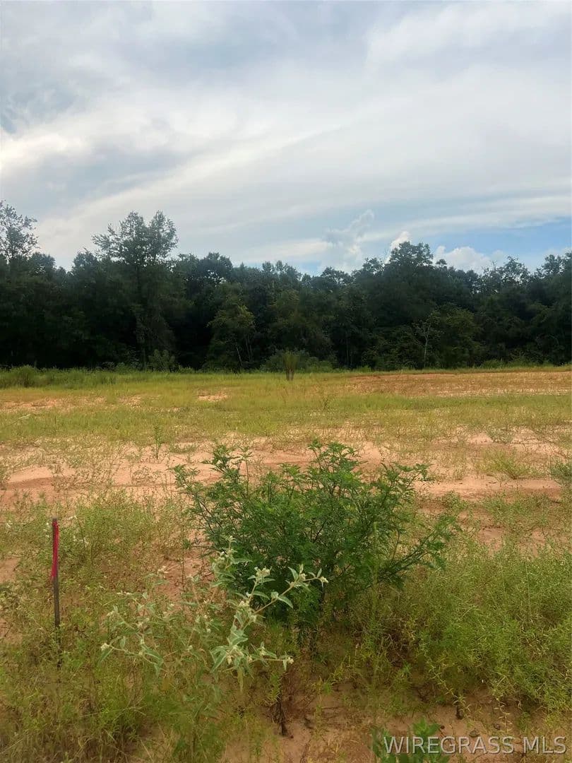 Vacant Land in Enterprise - Enterprise, Alabama, 36330