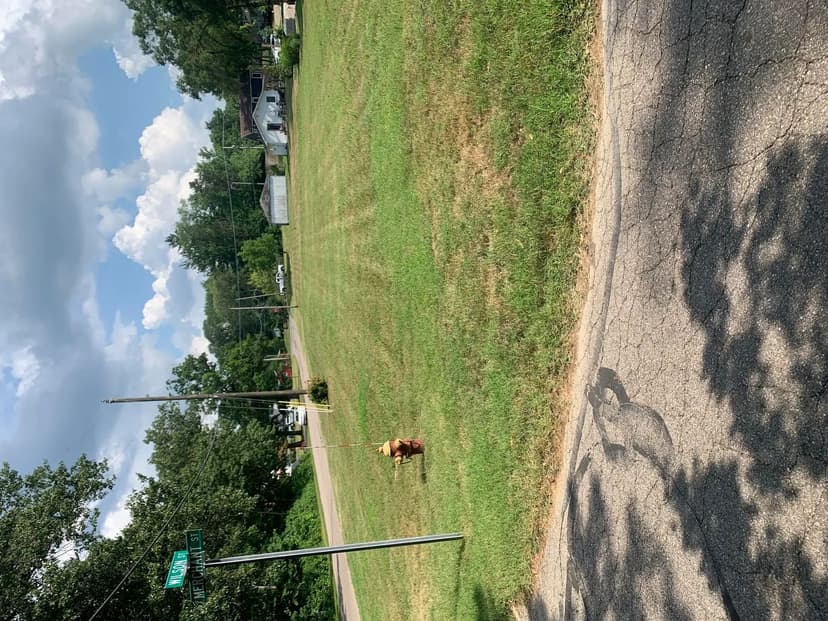 Property from 446 E Buffalo Street - KW