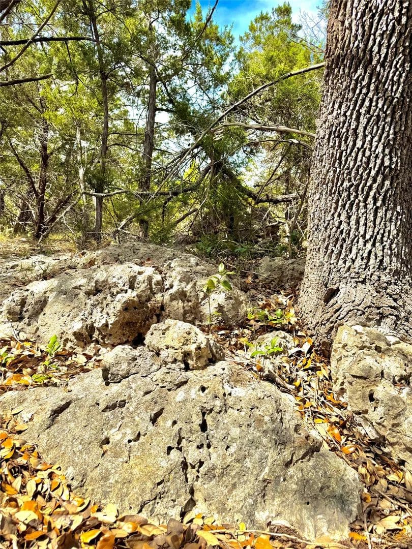 1.08 Acres of Land for Sale in Canyon Lake, TX - Canyon Lake, Texas, 78133