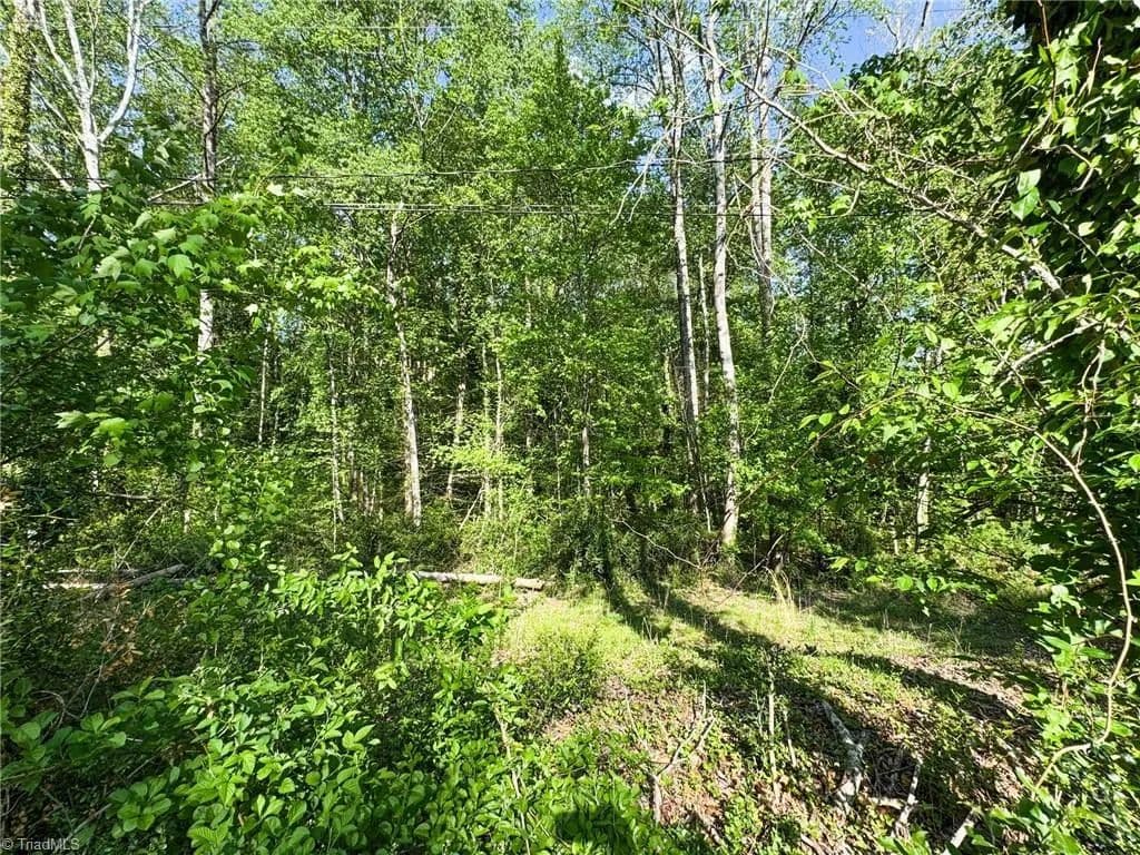 Vacant Land in Winston-salem - Winston-Salem, North Carolina, 27106