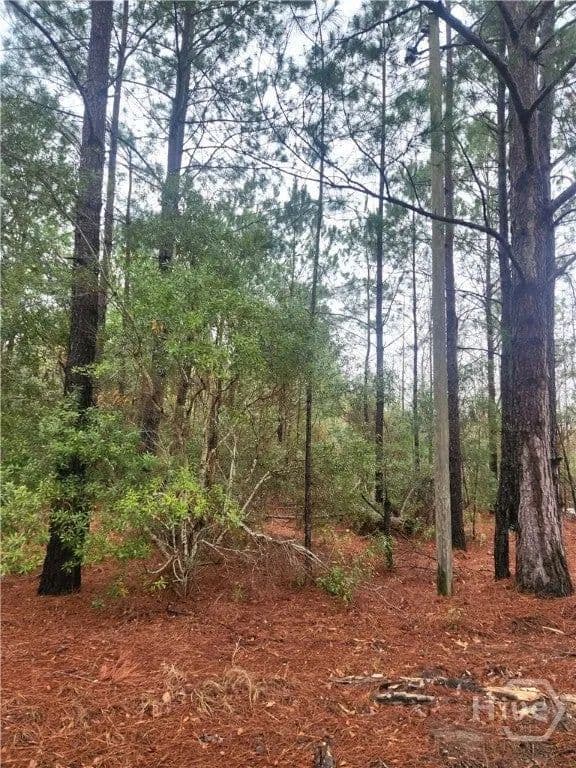 Lots & Land-Other in Pembroke - Pembroke, Georgia, 31321