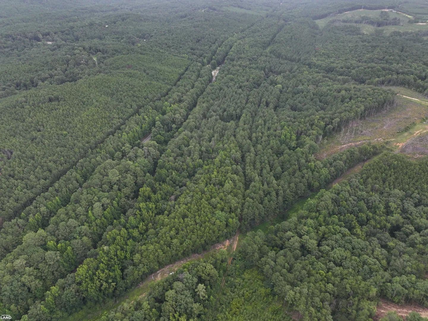 38± Acre Recreational & Homesite Tract - Adger, Alabama, 35444