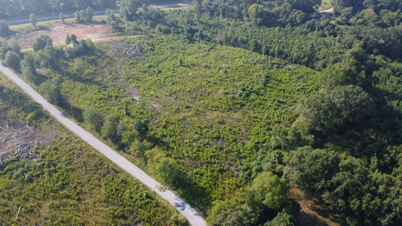 7.9 Acres Homesite Marion County - Columbia, Mississippi, 39429