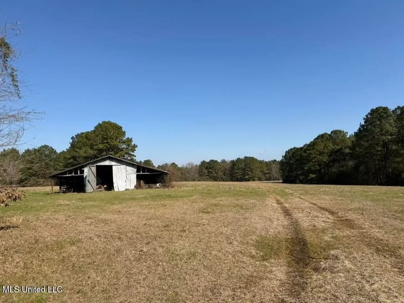 37+- Acres Sandy Hook MS for Sale