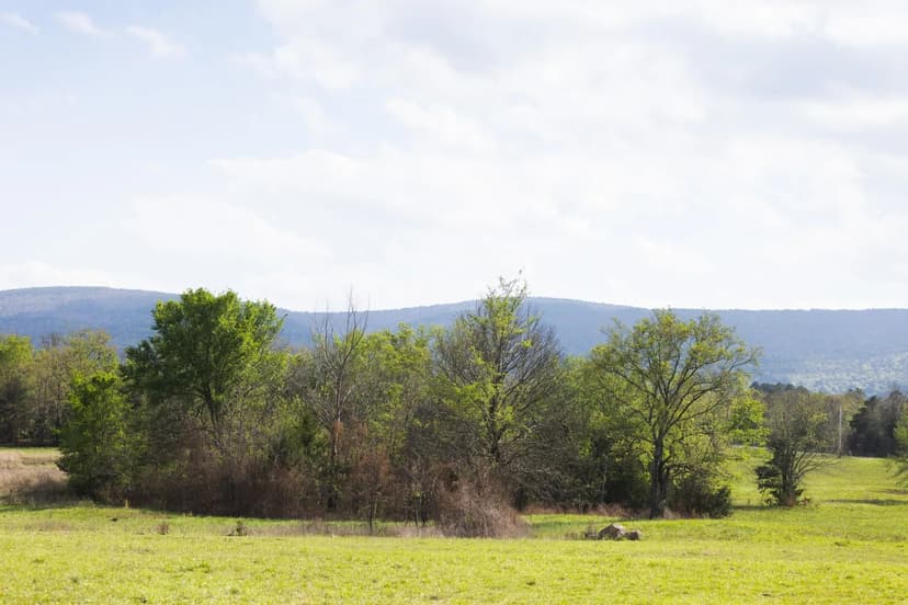 120 Acres in Pushmataha County, OK 