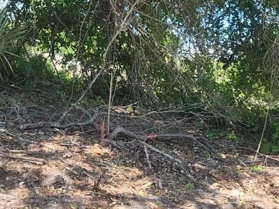 Property from 12323 CLARENDON AVENUE - KW - Port Charlotte, Florida, 33981