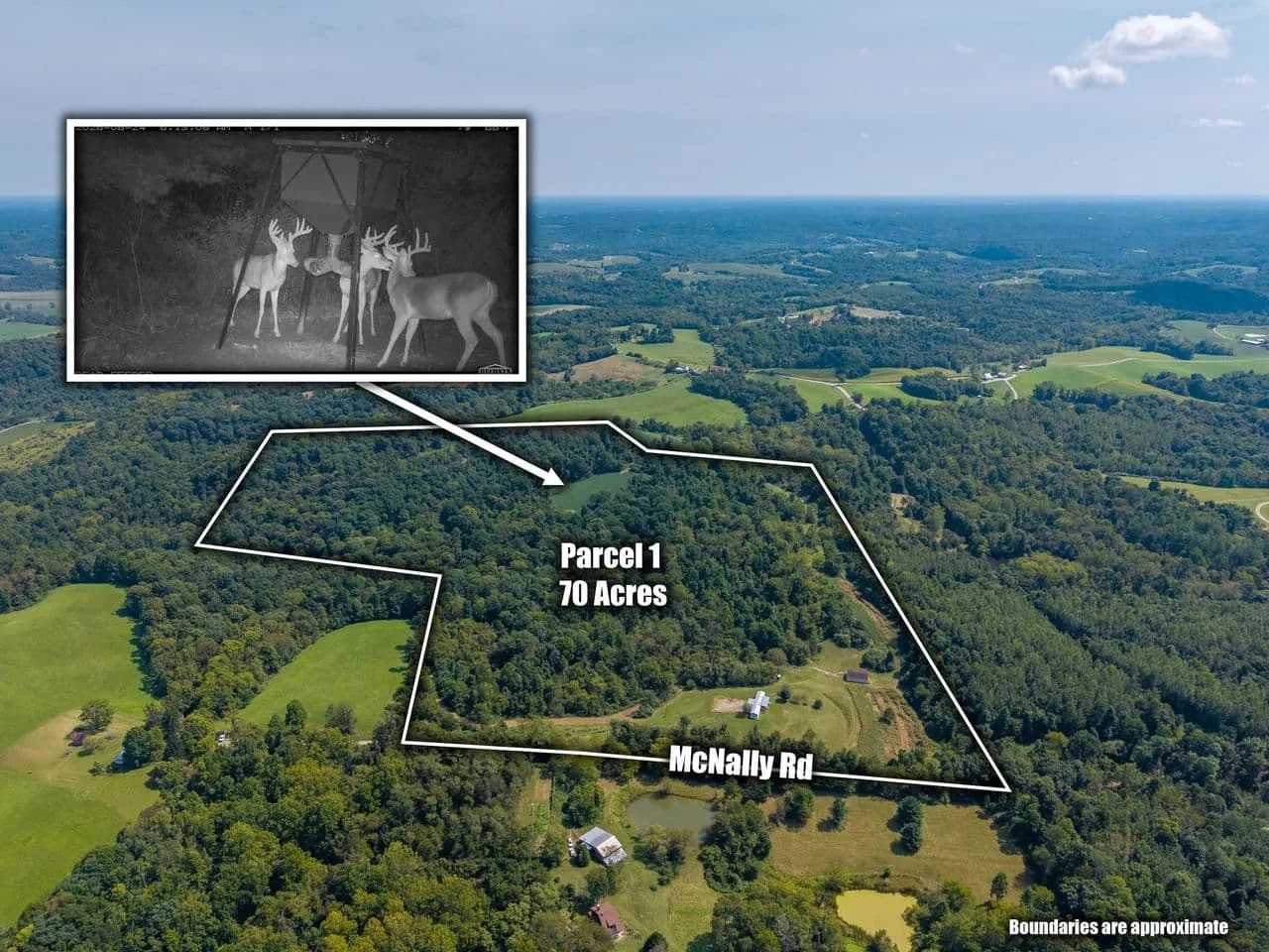 Multi-Parcel Auction 128.889 acres Morgan County - Stockport, Ohio, 43787