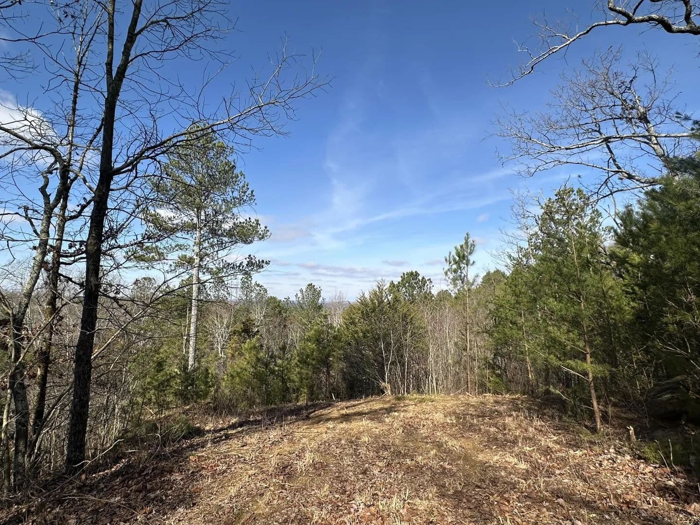 Property from 125 Fox Trail Drive - KW - Old Fort, Tennessee, 37362