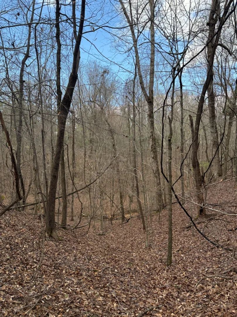 8 Acres in Choctaw County, MS