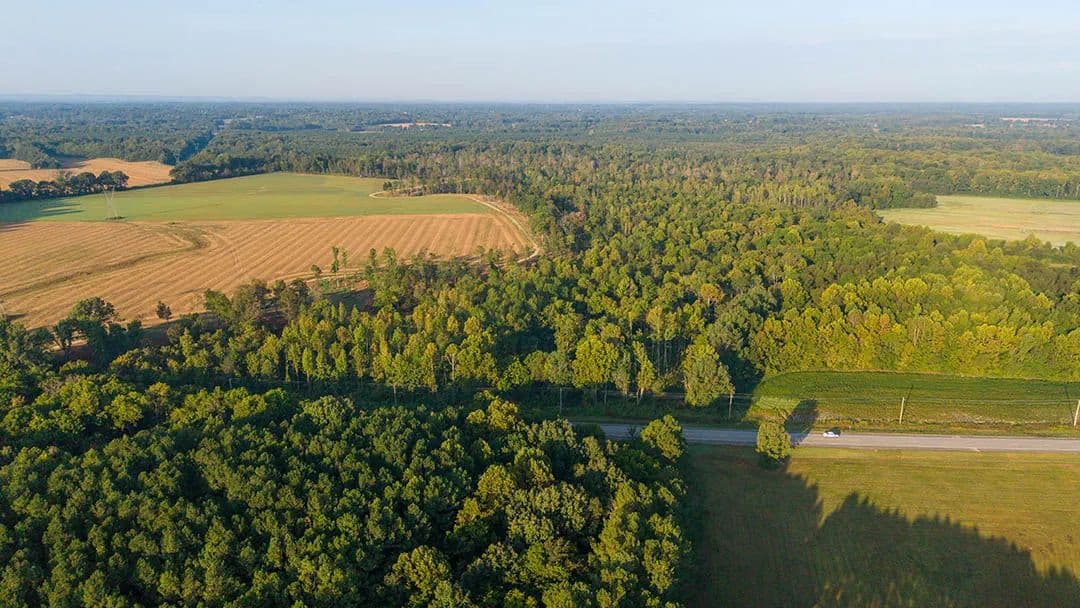 151.74 Acres in Lauderdale County, AL  - Florence, Alabama, 35633