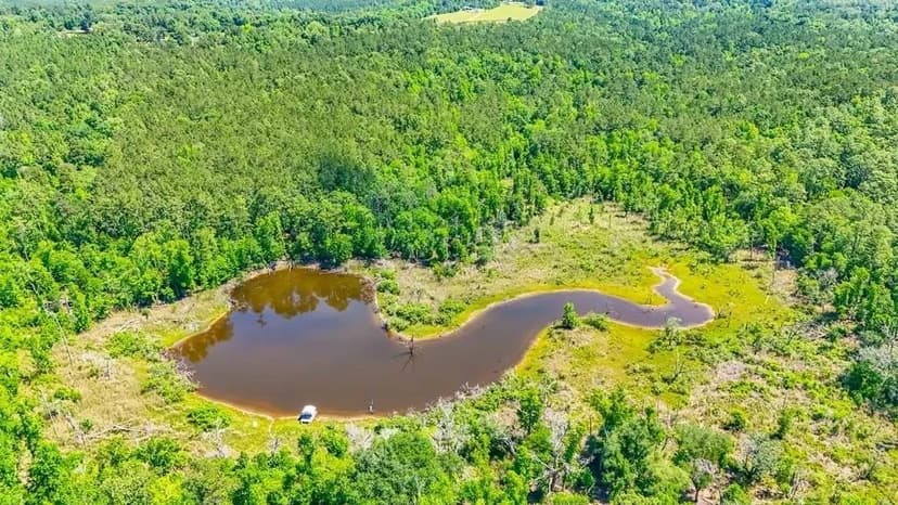 Lots & Land-Other in Bainbridge