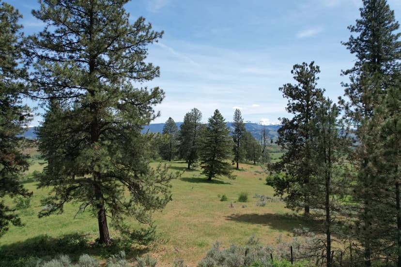 Elk Crossing View