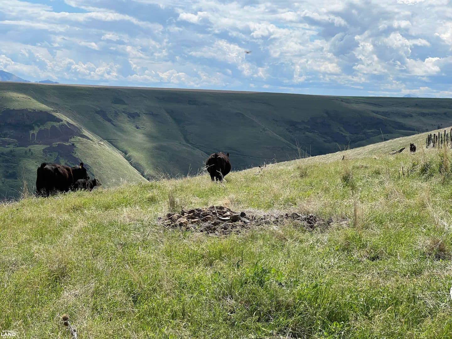 10 Mile Ranch - Asotin, Washington, 99402