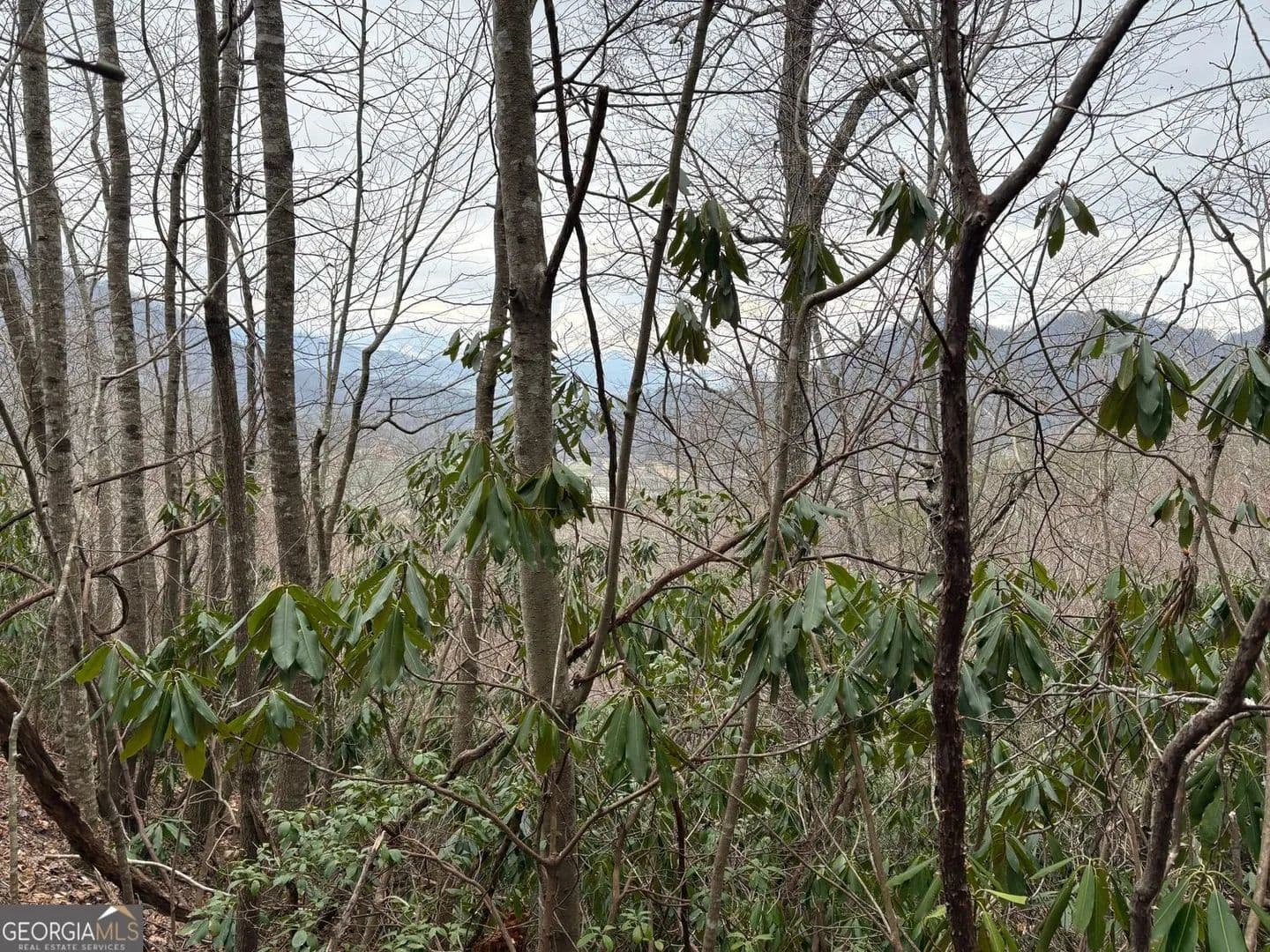Lots & Land-Other in Mountain City - Mountain City, Georgia, 30525
